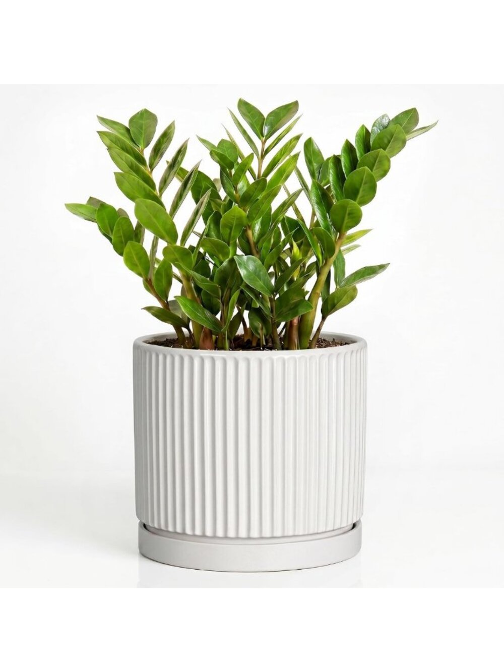 10-Inch White Ceramic Plant Pot - Round Flower Planter for Home Decor
